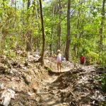 Rustic trail to Montezuma Waterfall
